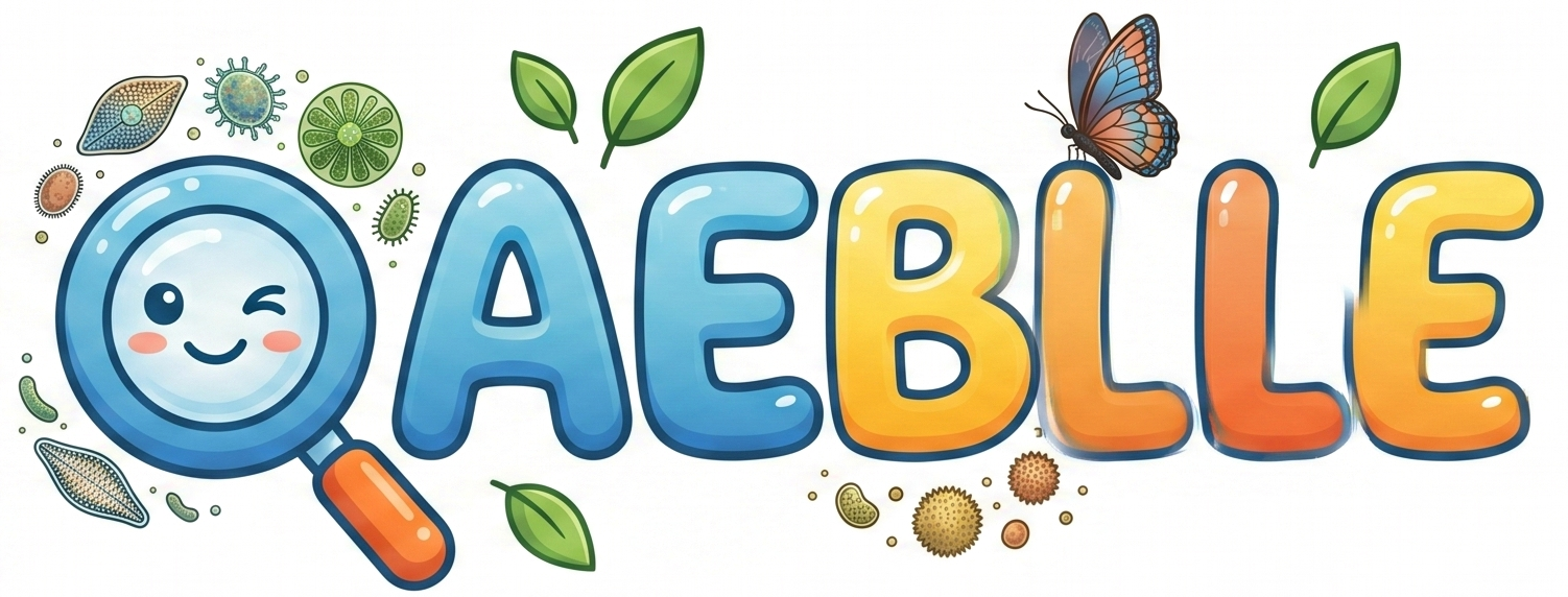 OAEBLLE