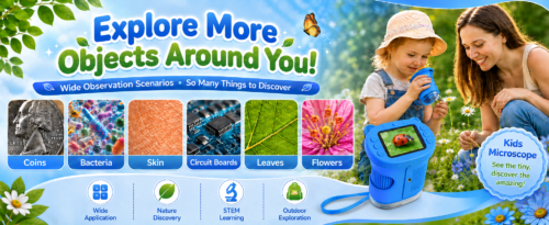 Small terrarium kit